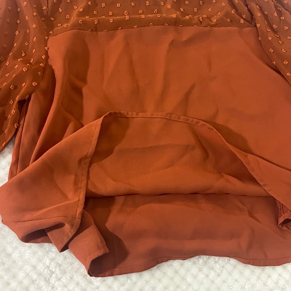 Pink Lily Womens Top Burnt Orange Sheer Balloon Sleeve Fall Long Sleeve Small - Picture 5 of 8